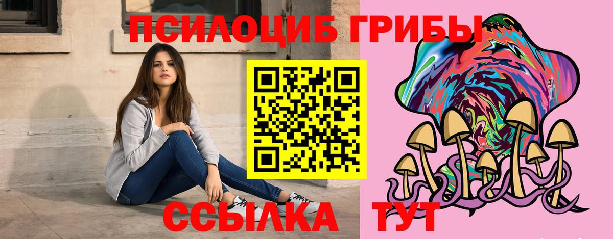 Галлюциногенные грибы Cubensis  Псилоцибиновые грибы Magic Shrooms  закладка  Вход с VPN  Кирово-Чепецк 