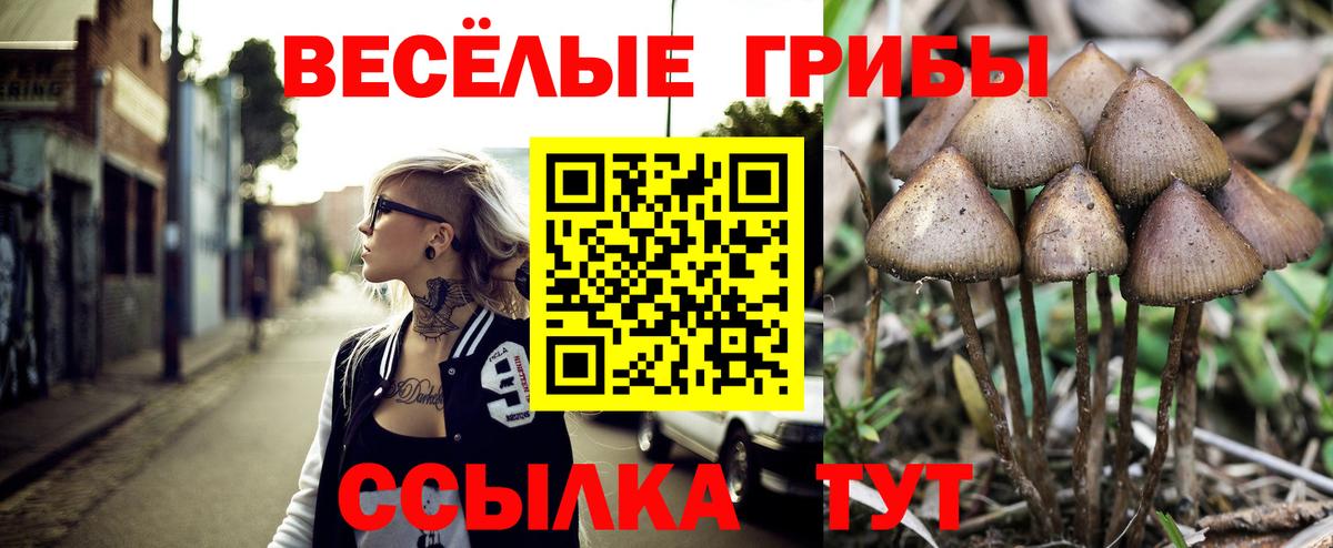 Галлюциногенные грибы мицелий Кирово-Чепецк