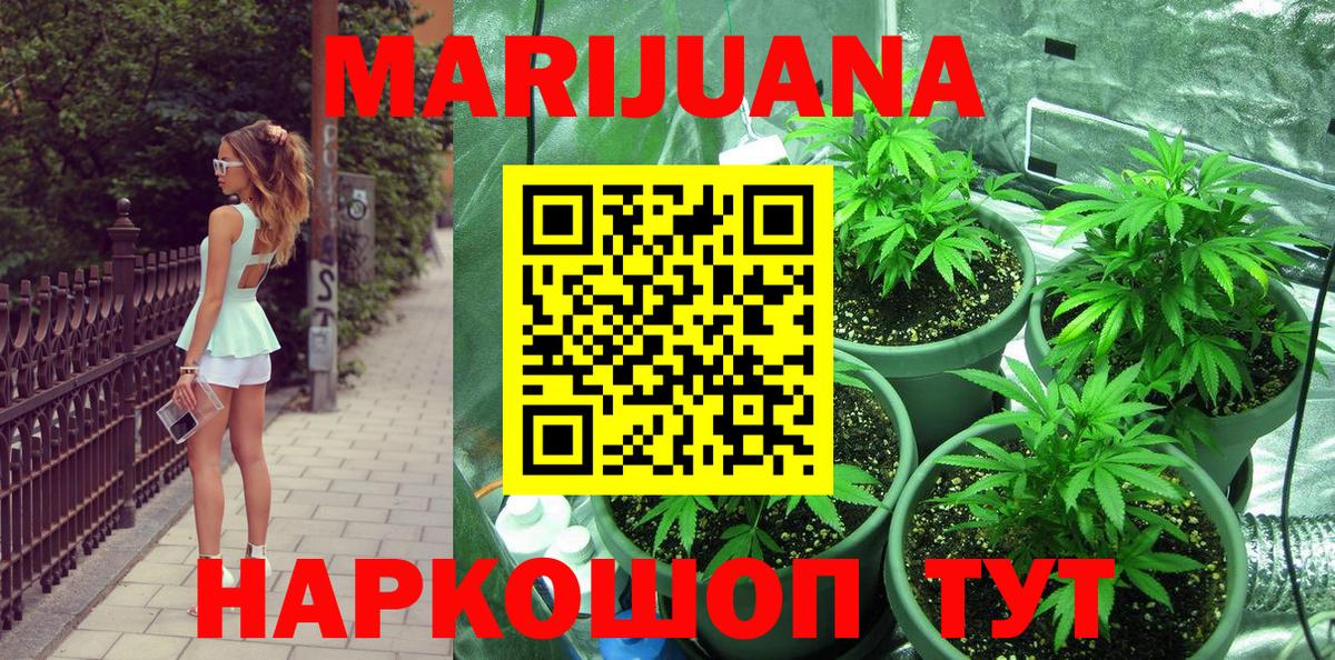 Бошки Шишки марихуана  МАРИХУАНА конопля  Шишки марихуана планчик  Вход с VPN  Кирово-Чепецк 